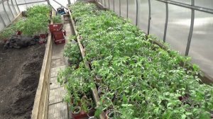 Спасибо зрителям за отзывы о ДЗЕНЕ! Значит, будем ждать лучших времен. 5.04.2026.