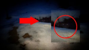 Страшные существа в пещерах прячутся | Неизвестное животное