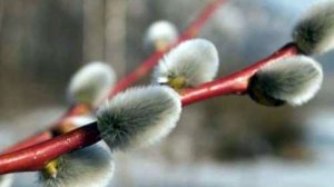 Ожидание пасхального обмена_20260405