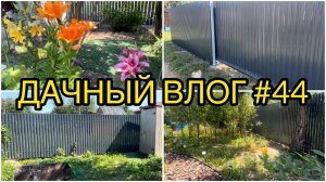 🏡 ДАЧНЫЙ ВЛОГ #44: ДЕНЬ 3 /  ПОКАЗЫВАЮ ГОТОВЫЙ ЗАБОР / СОБИРАЕМ УРОЖАЙ / БУДУЩИЕ ПЕРЕДЕЛКИ
