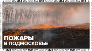 Природные пожары начались в Подмосковье - Москва 24
