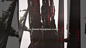 Краткий пересказ фильма