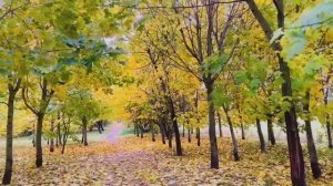 "Красавица-осень!" Автор стихотворения Лидия Поляк. Читает Вероника Филатова.