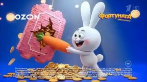 Реклама Озон Фортуната в Морковске наоборот