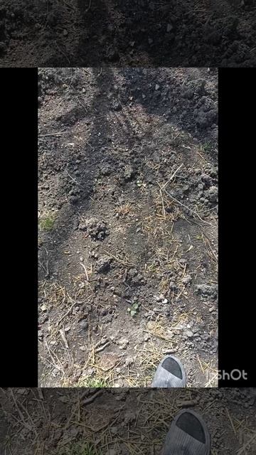 Конец марта в Анапском районе