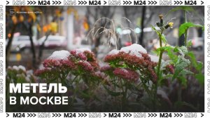 Метель накроет Москву в конце следующей недели - Москва 24