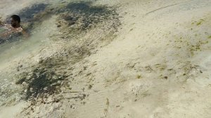 2021.03.30 Занзибар на отливе