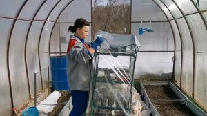 4.04.2026г. ДАЧНЫЕ РАБОТЫ. Посеяла цветы и капусту на рассаду в теплице в марте в Московской области