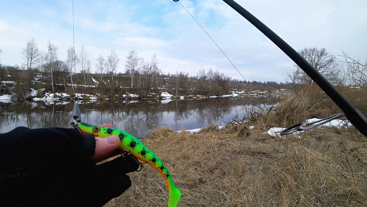 ЩУКА ПЕРЕД НЕРЕСТОМ: КЛЮЁТ ЛИ ВО ВРЕМЯ ПОЛОВОДЬЯ?