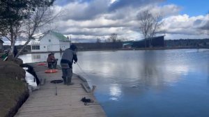 поимка форели на спиннинг