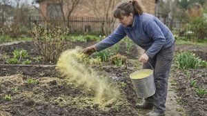 Весной в апреле мае раскидываю этот порошок по грядкам. Он с легкостью заменят тонны навоза!