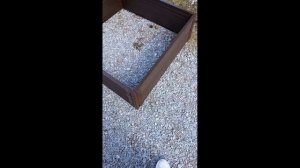 Грядки ДПК 100см*100 см*30 см