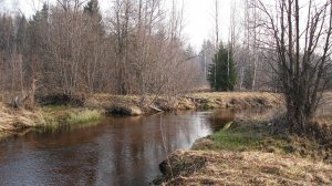 Вся рыба в этой реке и Крупняк тоже!!!. Рыбалка с берега. Рыбалка на щуку.