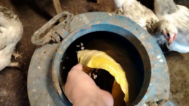 Из города в деревню. Деревенский фитнес.