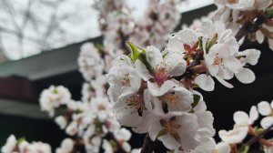 ВЛОГ. Что сегодня было? Запас мяса