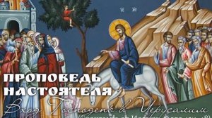 Христос- Мессия и Царь нашего сердца! Вход Господень в Иерусалим 🌿 (От Иоанна 12:1-18)