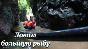 Перекрываем воду, чтобы поймать большую рыбу в ручье