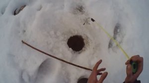 Рыбалка на любимую насадку плотвы зимой,зимняя рыбалка на мормышку (1)