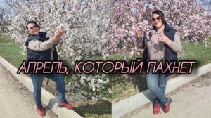 Зелёный апрель на ЮГЕ. Большая прогулка #8 с комментариями. Что происходит в саду в середине апреля.