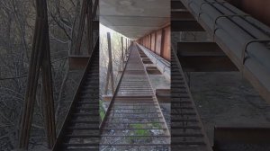 немного из прогулки авторов