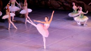 Дон Кихот 4.04.26 Дарья Вильчик  (Дульсинея)