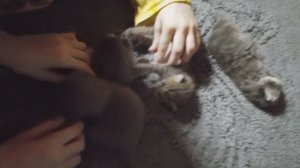 Четыре танкиста :)