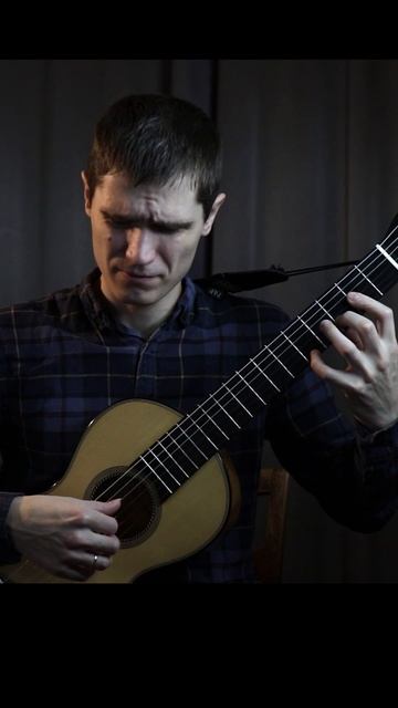 Король лев на гитаре