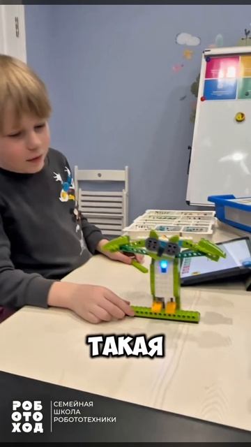 🦉В «Роботоходе» поселилась самая мудрая птица — сова!