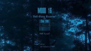 Volf Gang Records: Mood 16