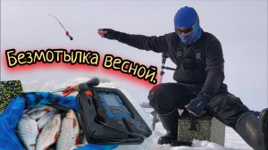 Ловля на безмотылку весной! Последний лёд 2026.
