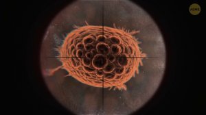 Учёные объяснили, как могла бы выглядеть жизнь на Юпитере