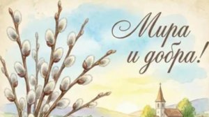 Верба. Необычное дерево