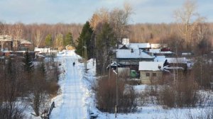 Лесной мой родной! ИИ