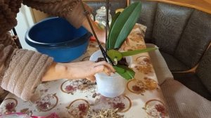 Влог потеряшка😁