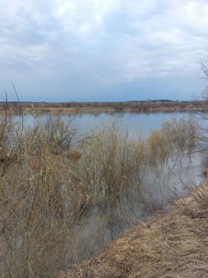 Разлив реки Суры после ледохода.