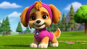 #20 Мультики для детей. Детские мультики. Лол. Свинка Пеппа. Маша и медведь. Три кота. Буба