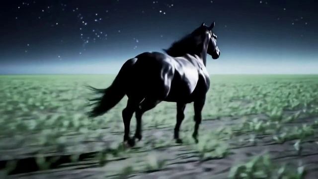 Скачет конь