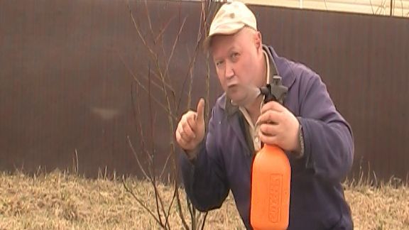 ЧТО ПРИСЛАЛ МНЕ ОЗОН? ОБРЕЗКА И ОБРАБОТКА САДА, СДАЮ НЕДВИЖИМОСТЬ.