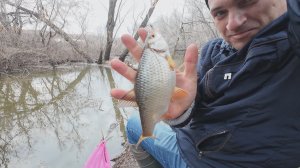 ПЕРВАЯ Рыбалка в ручье весной на удочку 2026 . Удачно открыл поплавочный сезон! 5 апреля