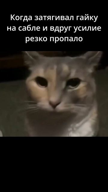 Когда затягивал гайку на сабле...