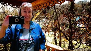 Апрель. Что творится на ДАЧЕ? Не удержалась - сэкспромтилось: песня ДАЧНОГО ДОМИКА