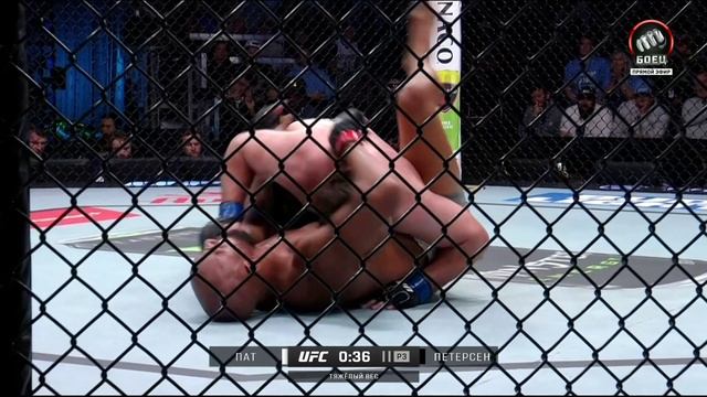 Гильерме Пат против Томаса Петерсена. UFC Fight Night