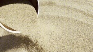 copy_E68DCD1B-95FE-4D4A-837B-BEE1879AD05F