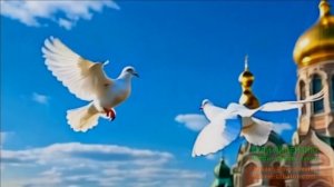 С ВЕРБНЫМ ВОСКРЕСЕНЬЕМ!