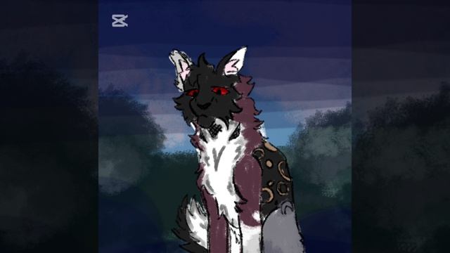 на конкурс лигазвёзду )