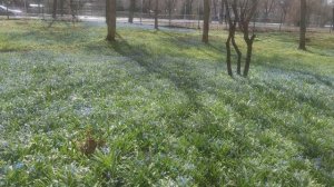 5 апреля магическое солнце 🌞 после очередного дождя...