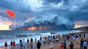 Невероятные моменты природы попавшие на камеру.