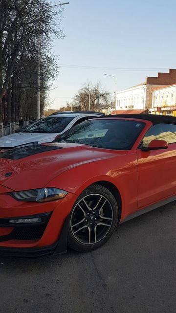Ford Mustang Shelby GT500