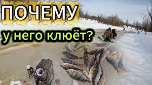 Где искать рыбу весной на малой реке? Ключик к окуню и чебаку.