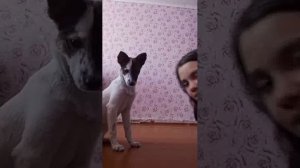 ~всякая всячина